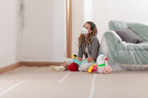 Reliable Mold Cleanup contractor in Hudson, TX by Cheap Mold Removal